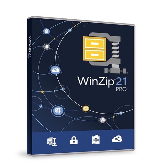Buy WinZip Pro 21 1 PC Life Time License India