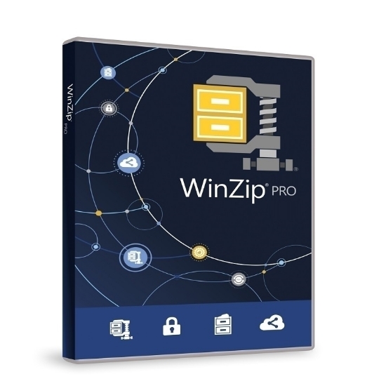 Buy WinZip 26 Pro 1 PC Life Time License India